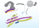 Recognition of centromere-specific histone Cse4 by the inner kinetochore Okp1-Ame1 complex