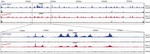 Structural evidence for Scc4-dependent localization of cohesin loading